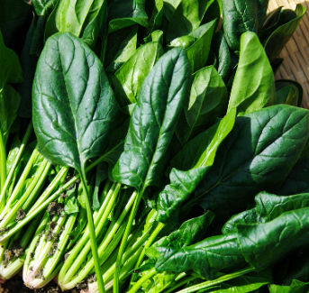 손톱에 좋은 음식 10가지