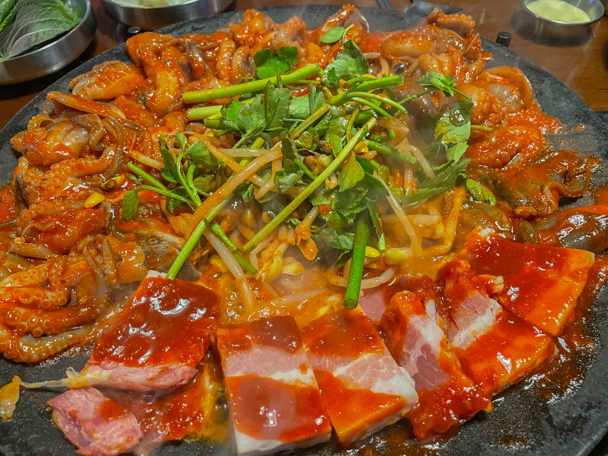 구시청 쭈꾸미도사