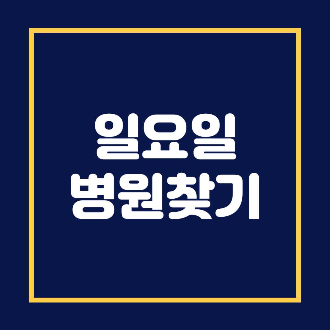 일요일 병원 찾기