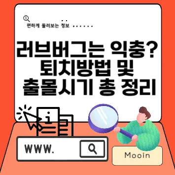 러브버그는 익충? 퇴치방법 및 출몰시기 총 정리