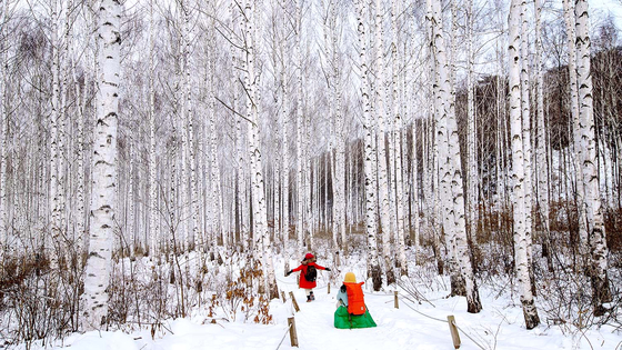 강원도 겨울 여행 명소 추천, 설경&middot;자연&middot;산행 BEST 4