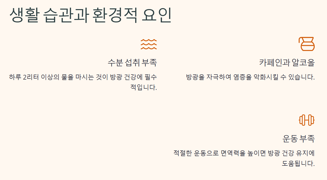 방광염 원인