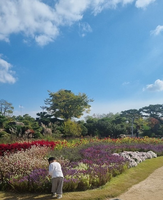 2025 순천만 국가정원 순천여행 맛집 현지인 추천 맛집 순천만 숙박