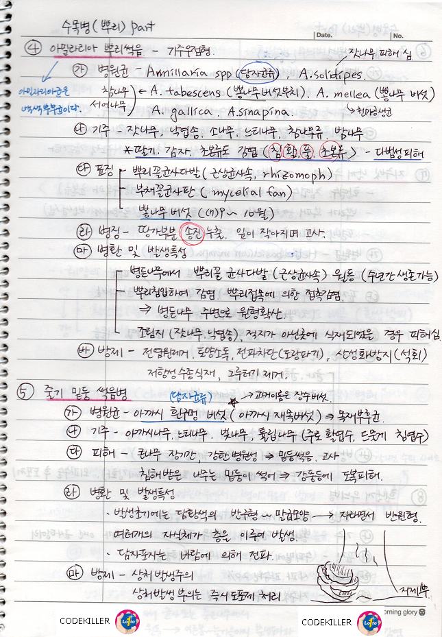 아밀라리아 뿌리썩음병&#44; 줄기 밑둥썩음병