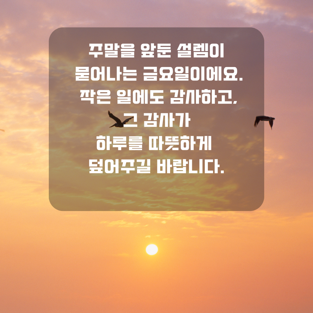 행복한 금요일 아침 인사말 문구 이미지 인사글 모음