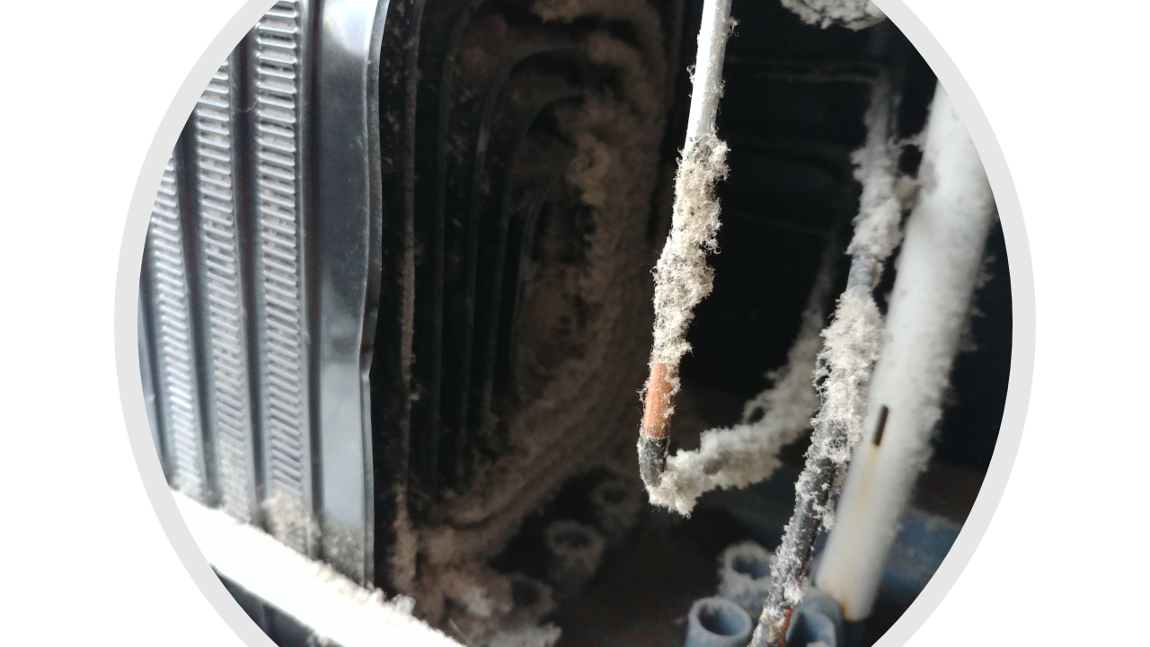 냉장고 내부에 쌓인 먼지 모습