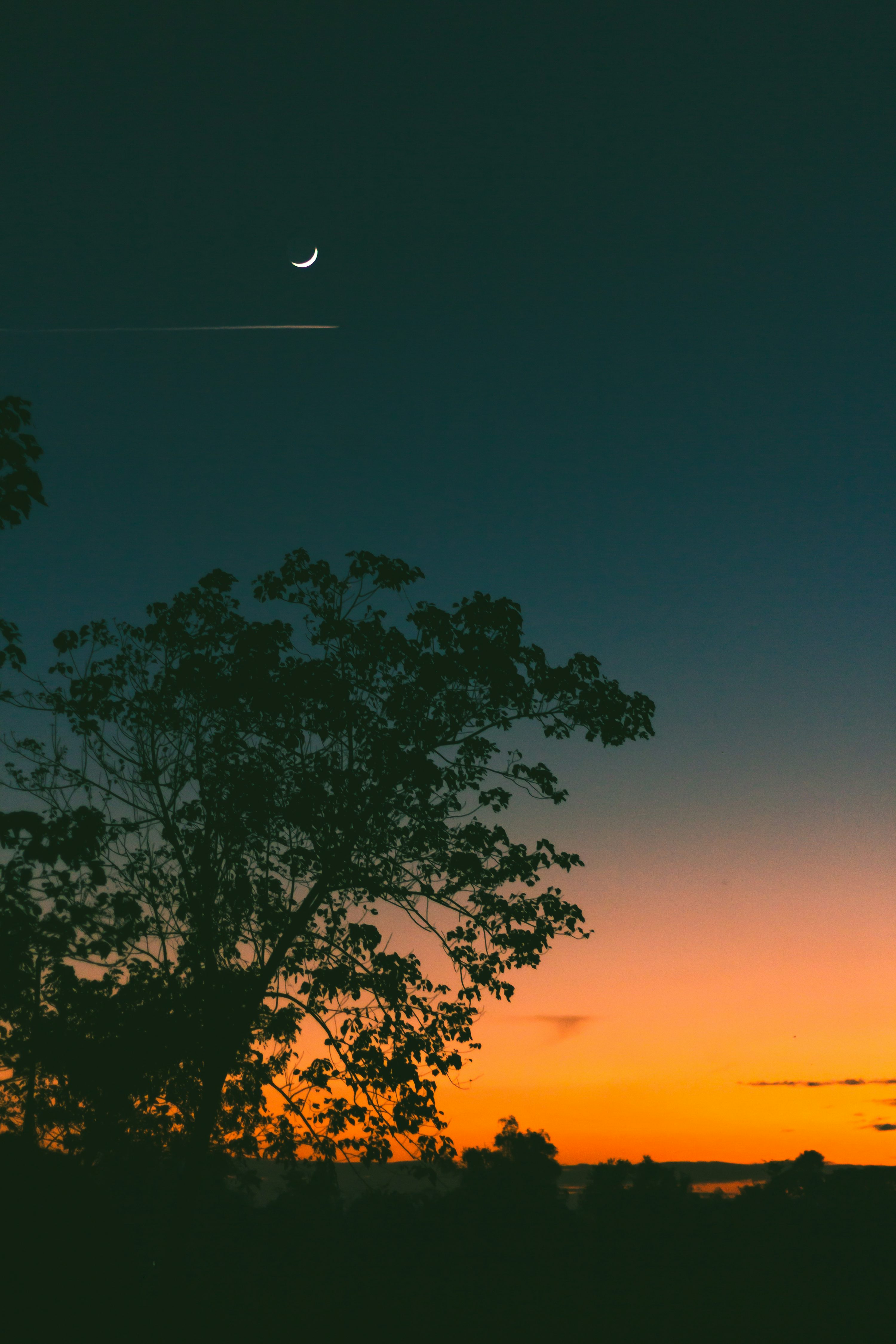 "초승달이 떠 있는 어스름한 저녁 하늘과 나무 실루엣, 잔잔한 노을빛"