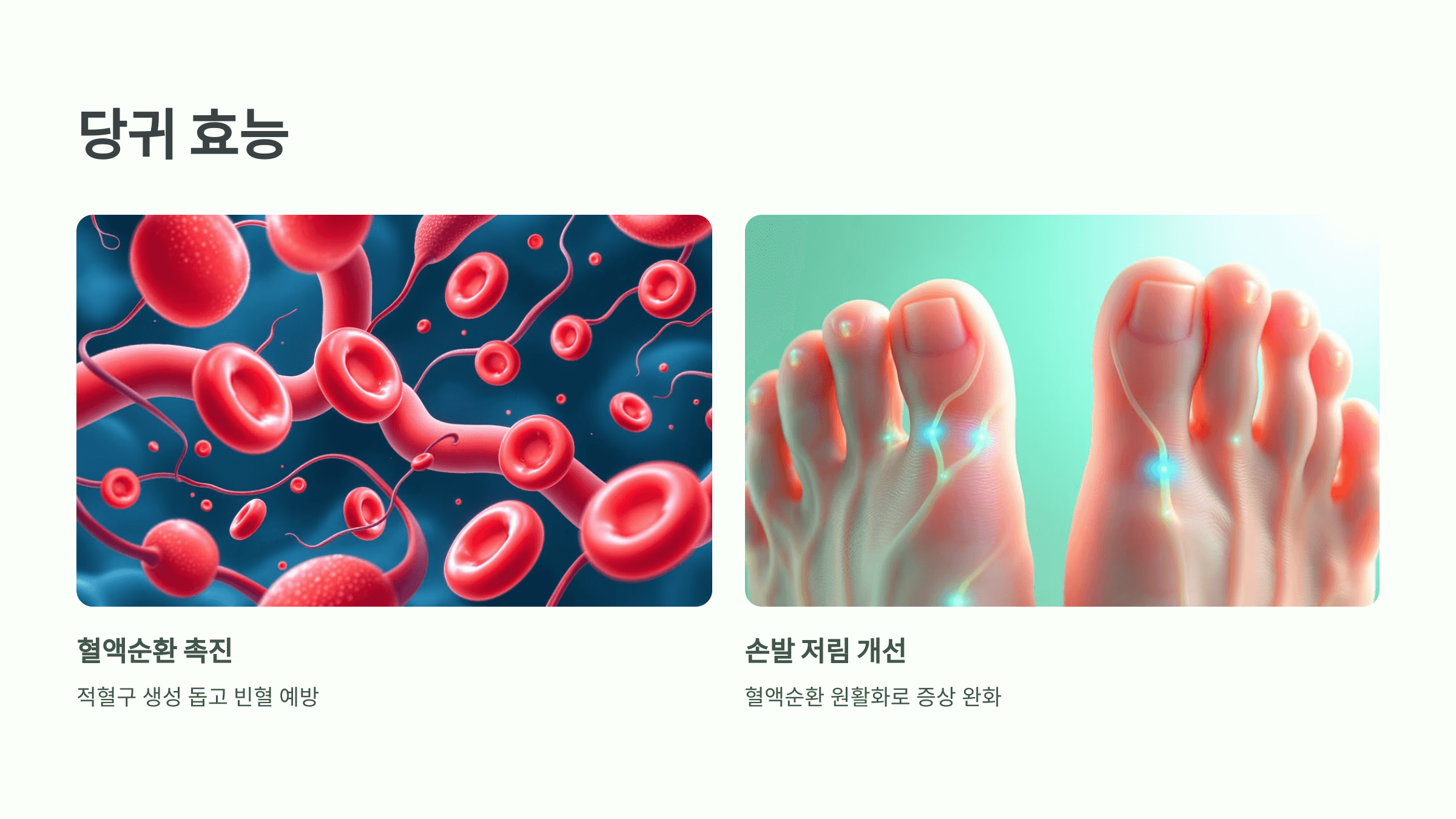 당귀 사진입니다.