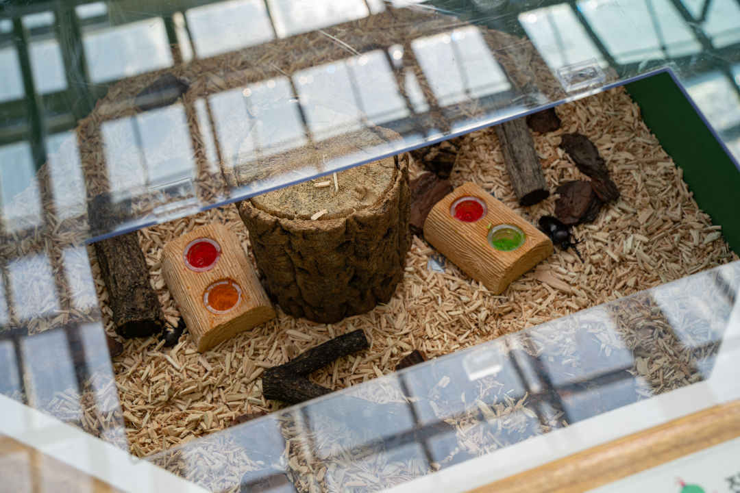 국립 농업 박물관 곤충관