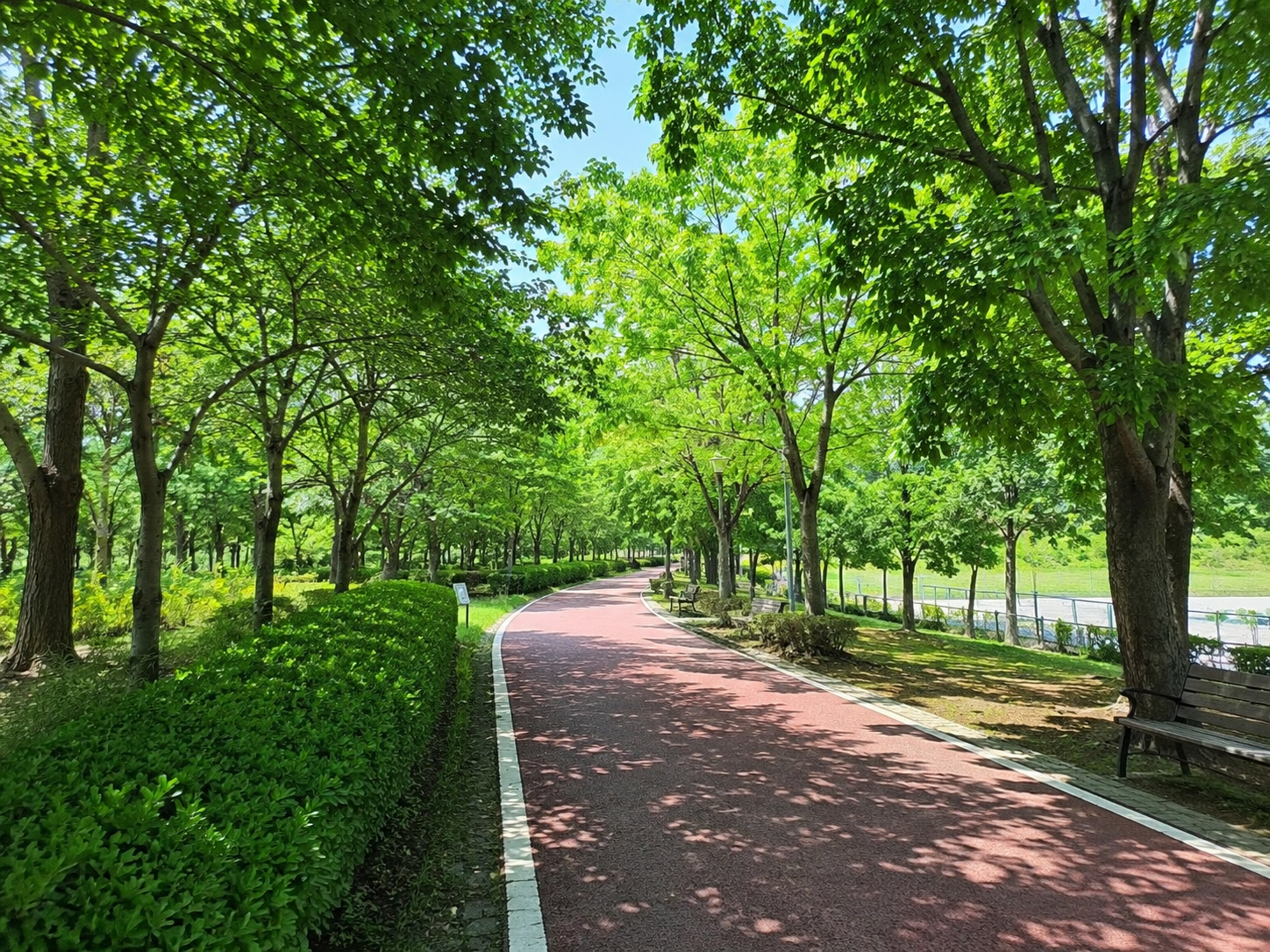 주말 아침 가벼운 유산소 운동과 정서 운영을 위해 집 주변 공원의 우레탄 트랙 및 산책로 코스 데이터를 확인하고 걸어보는 웰빙 루틴.