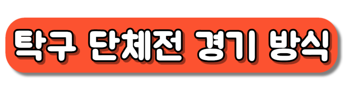 탁구 단체전 경기 방식 바로보기