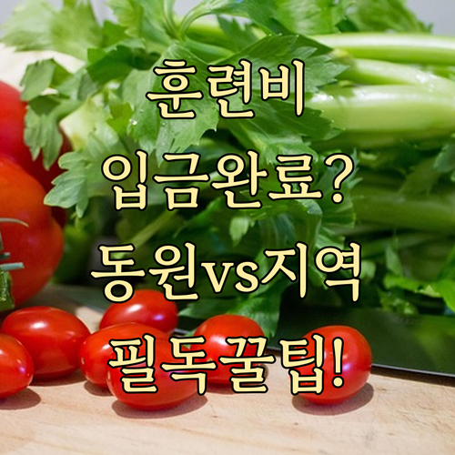 동원훈련 보상비와 지역예비군 훈련비 ..