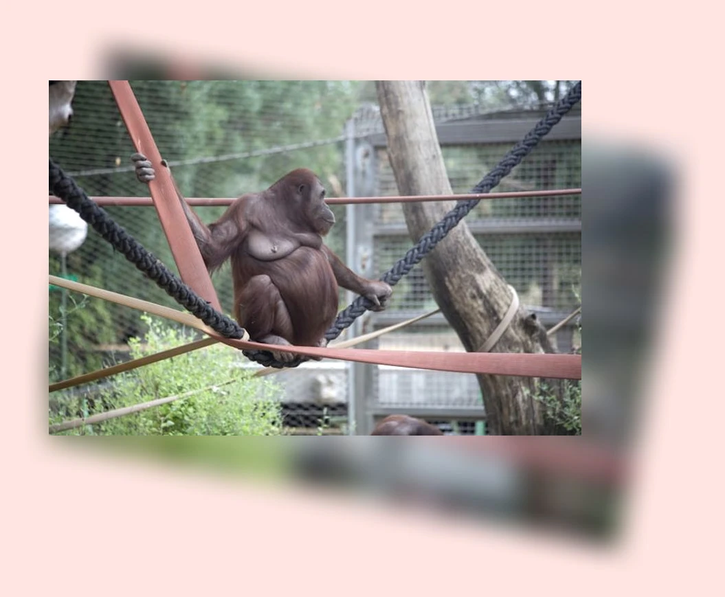 실내 동물원 체험_3_subsection