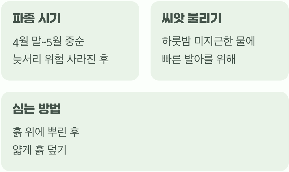 씨앗과의 첫 만남, 심는 법의 비밀