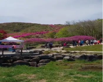 황매산 철쭉축제_25