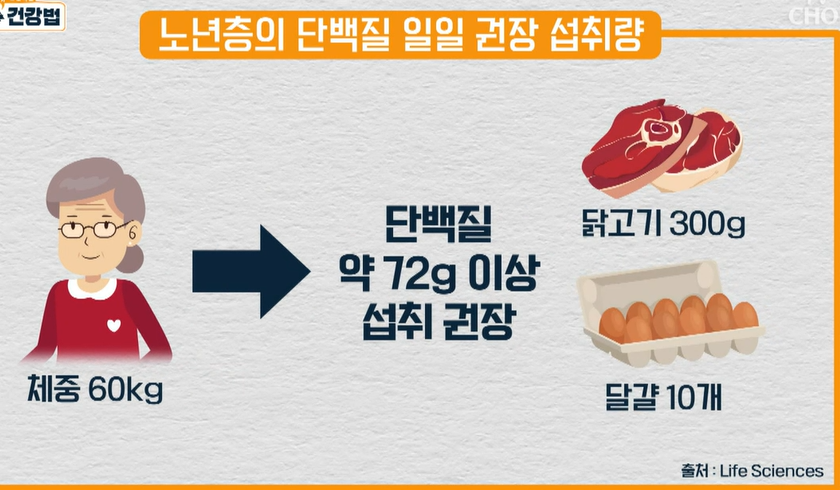 산양유 단백질 효능