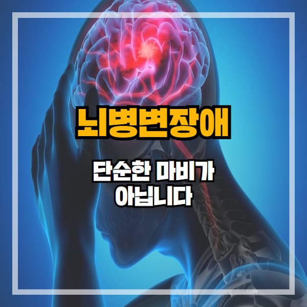 뇌병변장애, 판정 기준부터 지원 제도 한눈에 보기