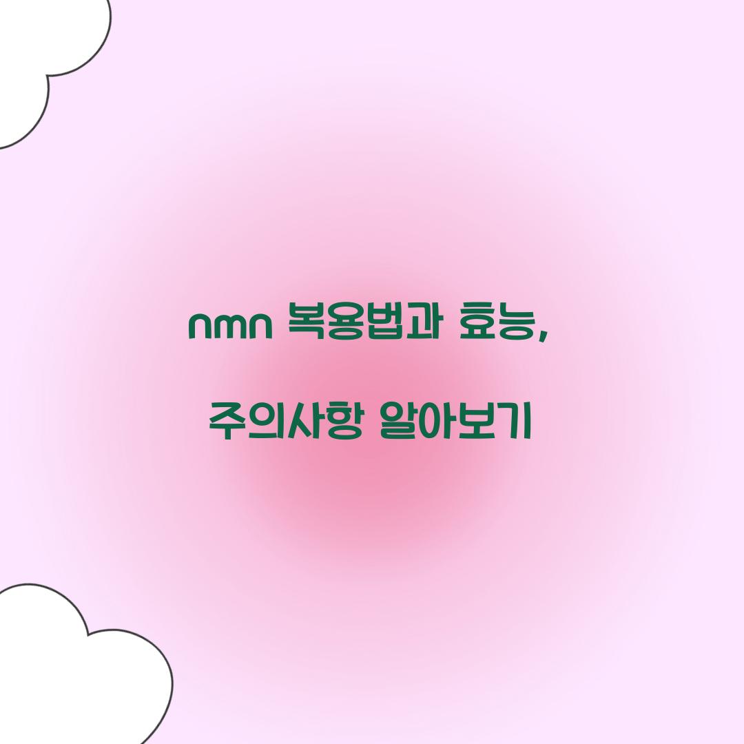 nmn 복용법