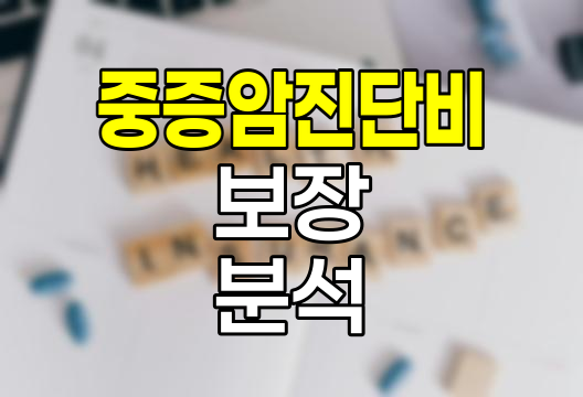 KB손해보험 중증암진단비 심층 분석