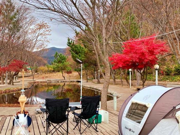 생방송오늘저녁 경주 차박 오토캠핑 캠핑장 추천 및 아내 힐링 위해 캠핑카 4번 바꾼 사연