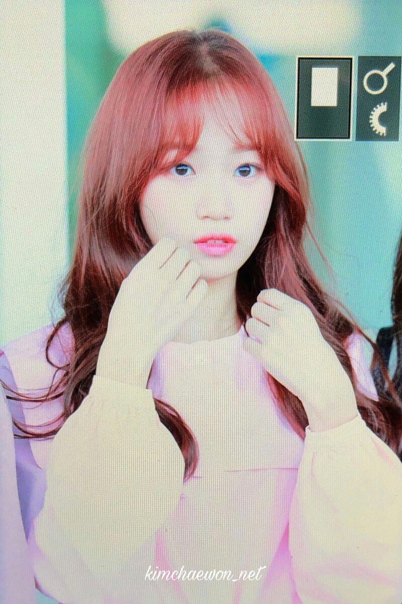 김채원 사진 모음 김채원 사진 모음