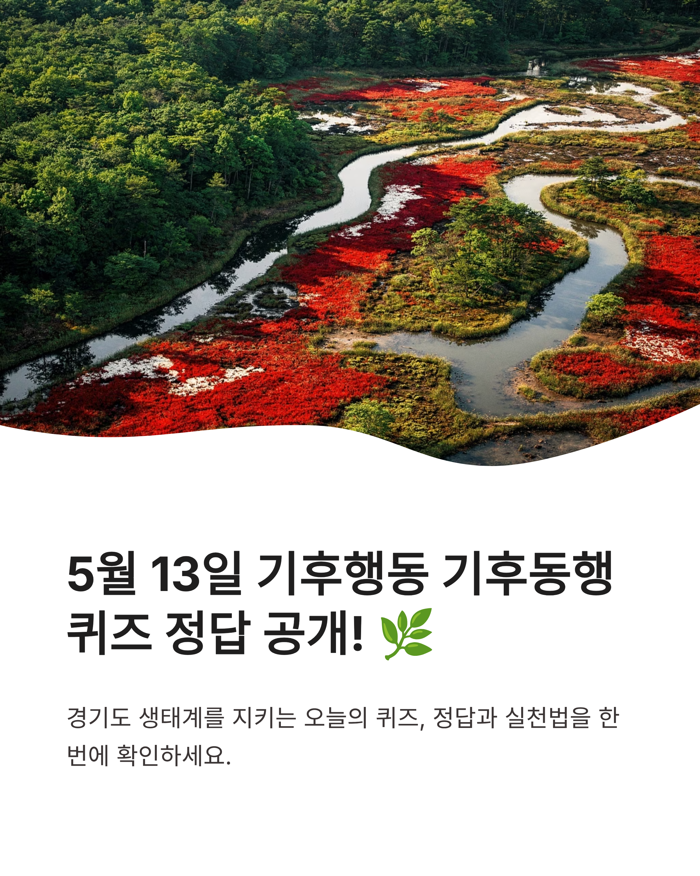 5월13일 기후행동 기후동행 퀴즈 정답, 경기도 생물다양성 지키는 꿀팁 확인하셨나요?