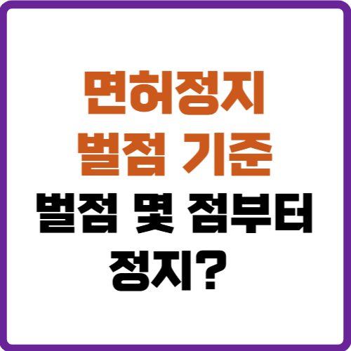 면허정지 벌점