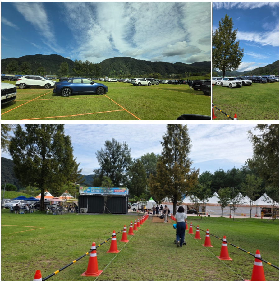 자라섬 (2025 꽃 페스타)