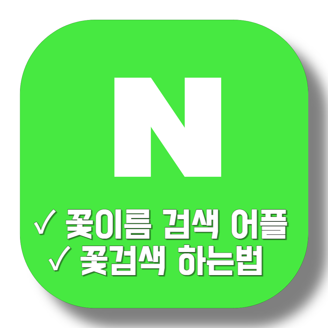 꽃이름-검색-어플-&amp;-꽃검색-하는법-썸네일
