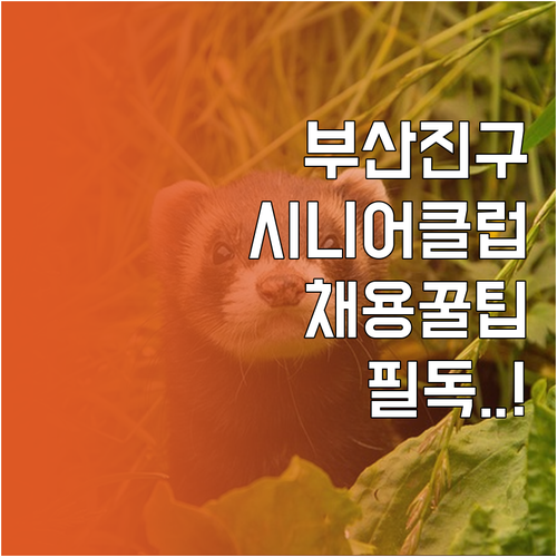 부산진구 시니어클럽 사회복지사 지원 ..