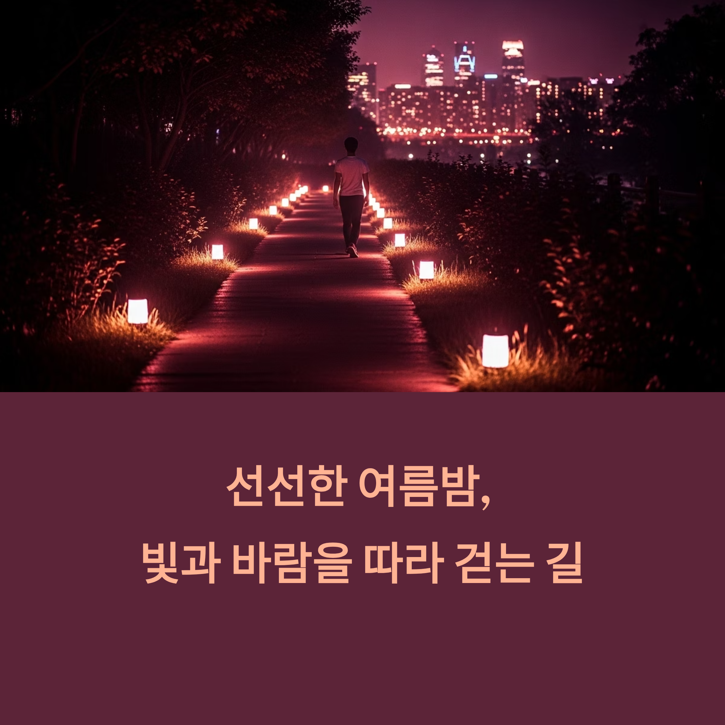 감성 밤산책