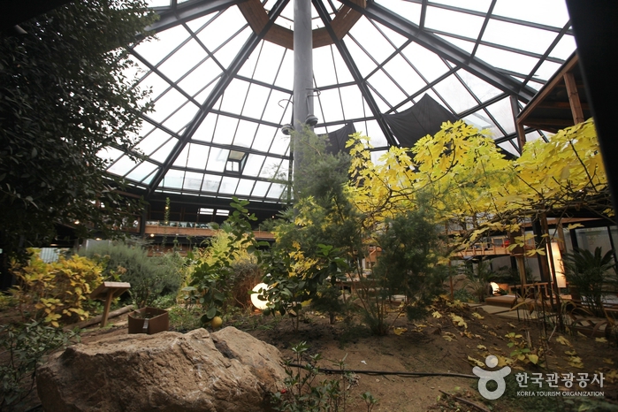 남양주 비루개 카페