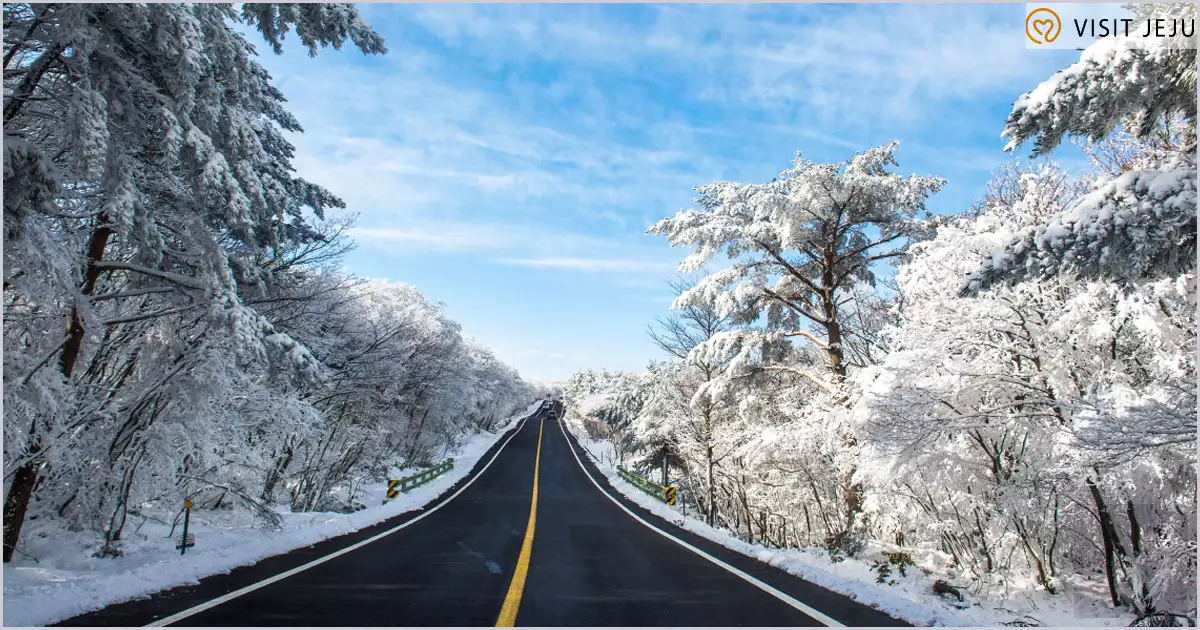 1100고지 드라이브 코스