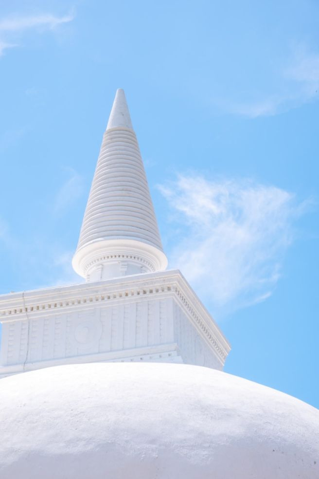 나이브하다와 순진하다 차이