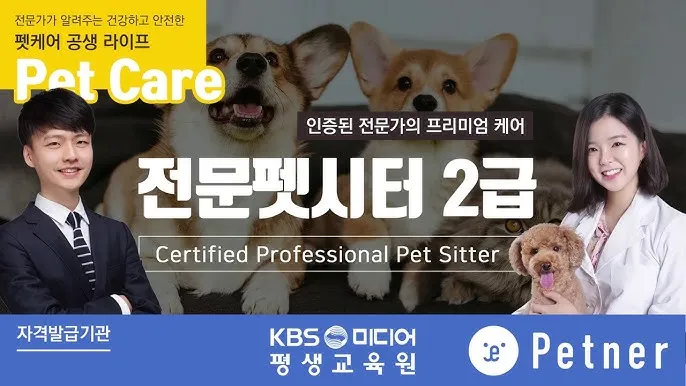 펫시터자격 교육과정 활동영역 창업준비 시니어 돌봄 일거리 찾기_6
