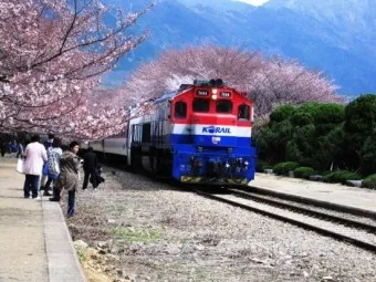 기차여행 코레일투어 당일치기_12