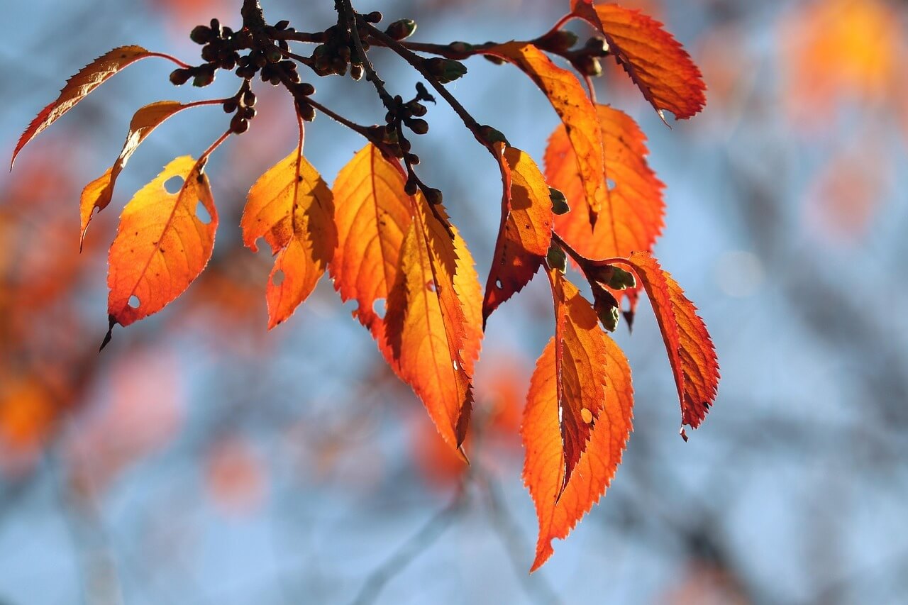 곤지암 화담숲 예약 취소하기