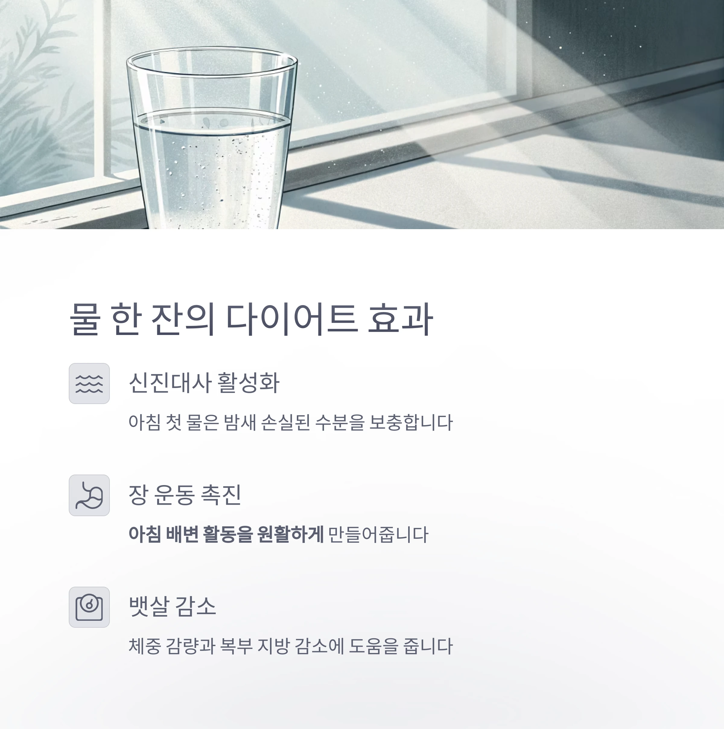 아침루틴