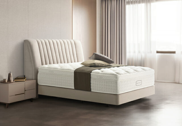 비렉스 볼륨 프레임'