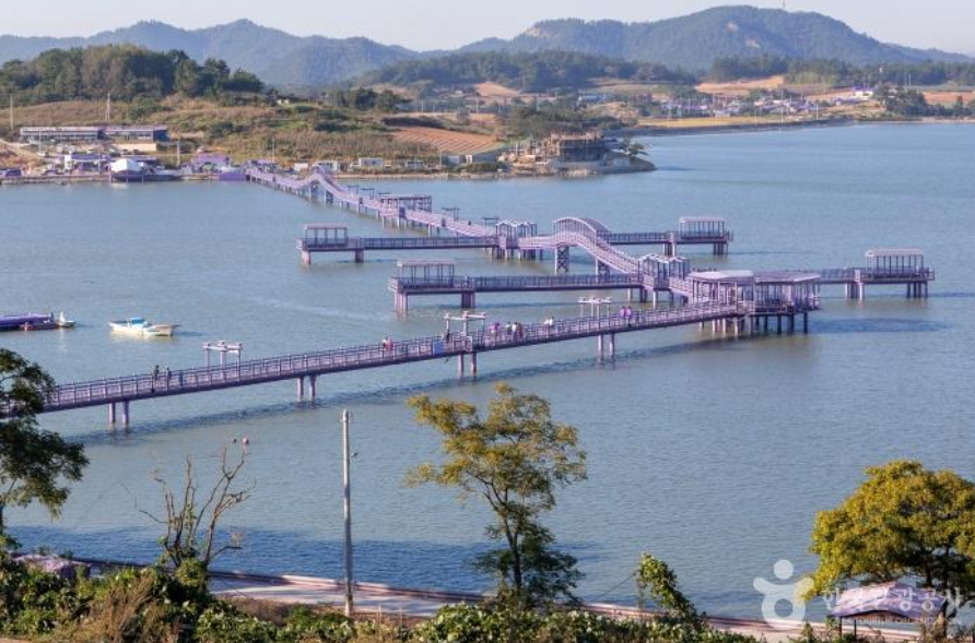 생생정보 보라마을