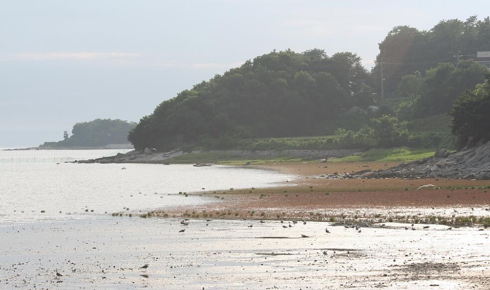 강화도 가볼만한곳 베스트 10 동막해변