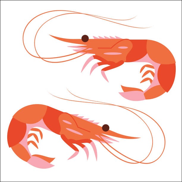 새우 잡는 꿈 해몽