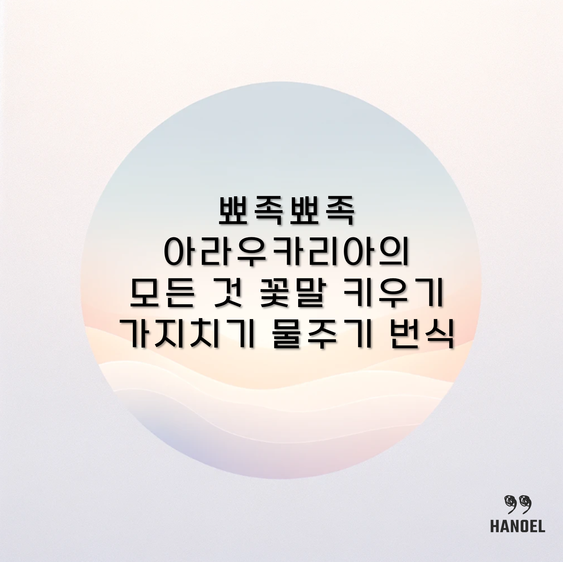 뾰족뾰족 아라우카리아의 모든 것 꽃말 키우기 가지치기 물주기 번식