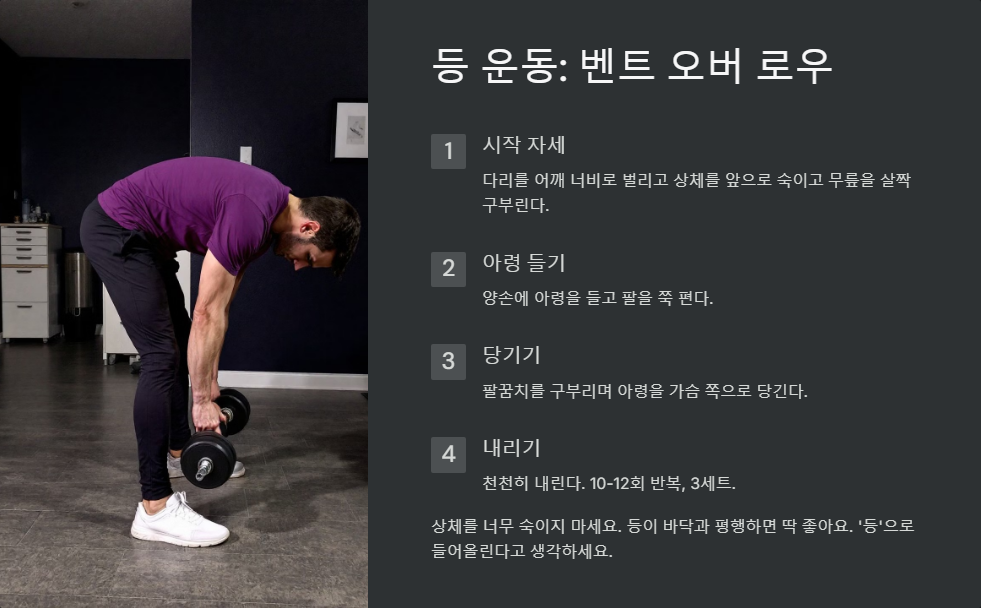 집에서 하는 아령 운동 루틴