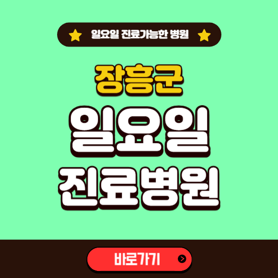 장흥군 일요일 진료 가능한 병원 ❘ 주말 문여는 곳 총정리 (소아과, 내과, 안과, 치과, 피부과, 정형외과, 산부인과)