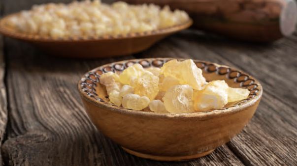 관절영양제추천