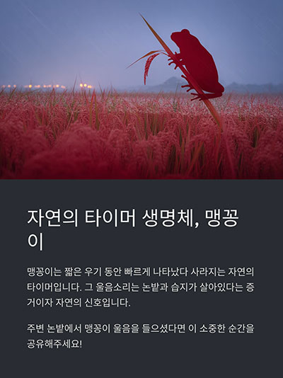 여름밤 자연의 짧고 소중한 손님
