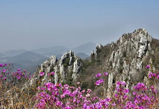 주작산자연휴양림