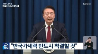 내란 특검법 내용