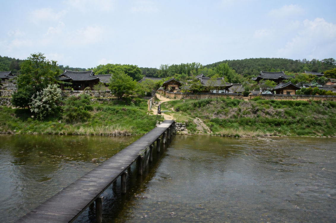 영주 무섬마을의 외나무다리와 물가, 전통 마을 풍경이 함께 보이는 모습